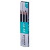 Apsara Platinum Extra Dark Pencils 100x100 - Nataraj 621 Pencils Value Pack