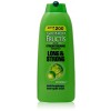 Garnier Fructis Long and Strong Strengthening Shampoo 340ml 100x100 - Head & Shoulders Smooth and Silky Shampoo, 360ml