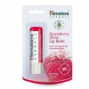 Himalaya Herbals Strawberry Shine Lip Balm 100x100 - Vaseline Lip Care Total Moisture